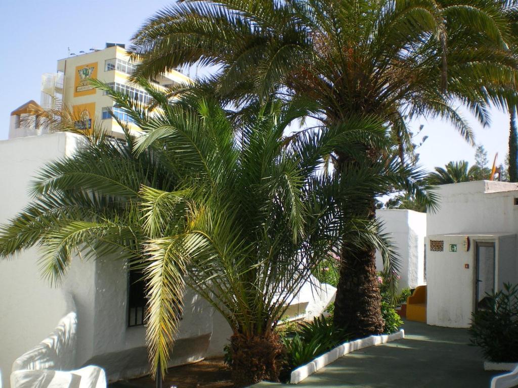 Bungalows Tenesoya Gay Men Only Playa del Inglés Buitenkant foto